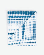 Dive : Indigo - Reef