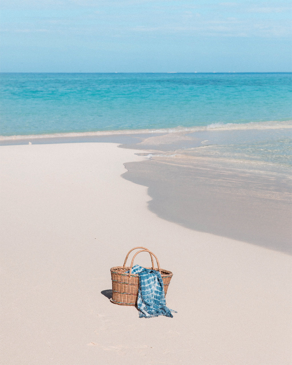 Dive : Indigo - Reef